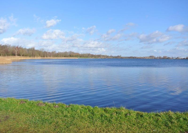 Zeelicht Villa Noordwijkerhout Dış mekan fotoğraf